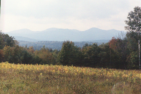 Scenic Maine