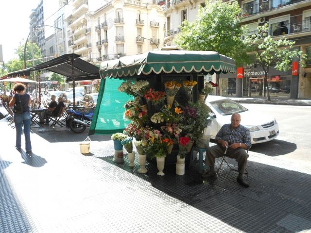 Printable Version of Street Flower Vendor - 20111208_155531_5872