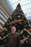Underneath the Christmas Tree at Puerto Madero