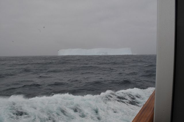 Printable Version of Iceberg! - 20111213_143720_6410