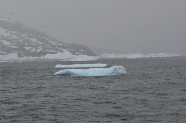 Printable Version of Icebergs in Cierva Cove - 20111216_090022_6975