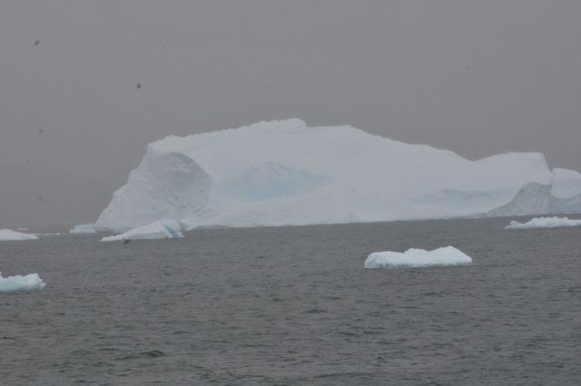 Printable Version of More Icebergs - 20111216_090028_6976