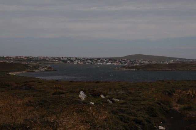 Printable Version of Falklands - 20180112_105855_056