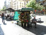 Street Flower Vendor