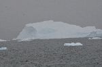 More Icebergs