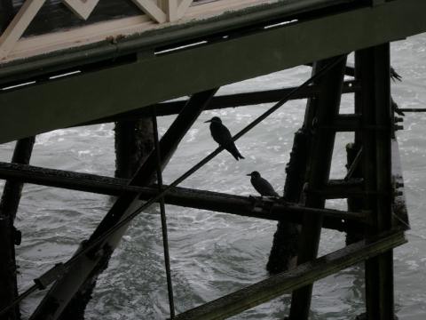 PC040044