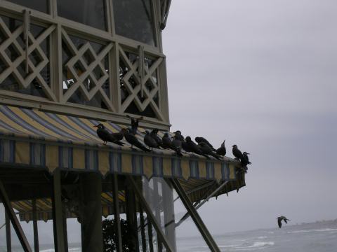 PC040052