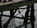PC040044