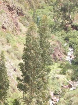 PC060017