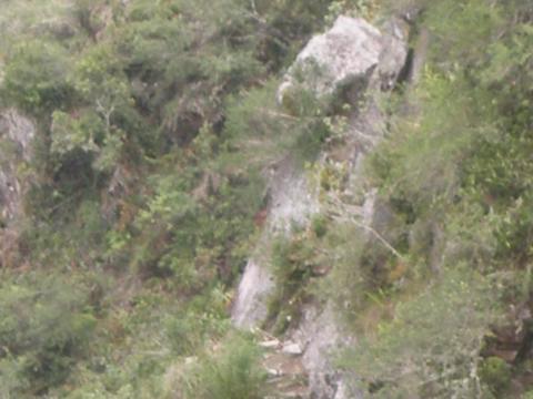 PC070029