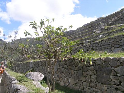 PC070058