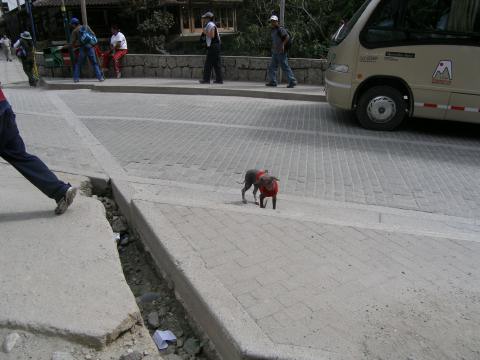 PC070062