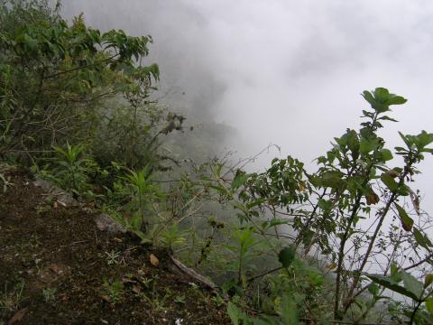 PC080011