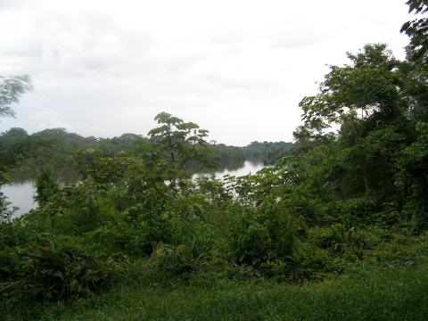 PC090067