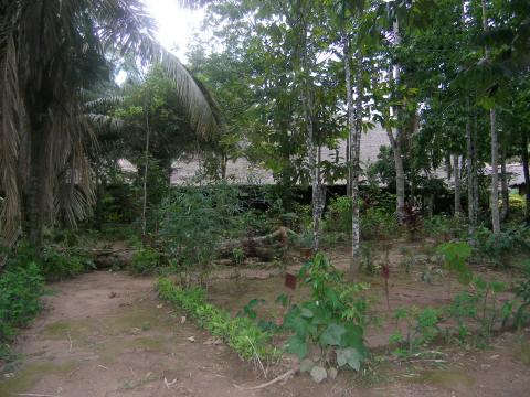 PC090068