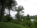 PC090069