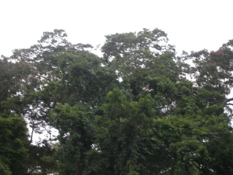 PC100005