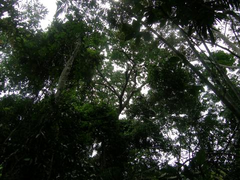 PC100048