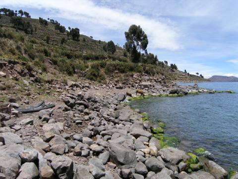 PC130072