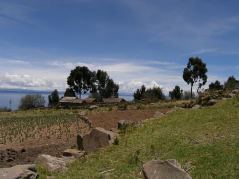 PC130080
