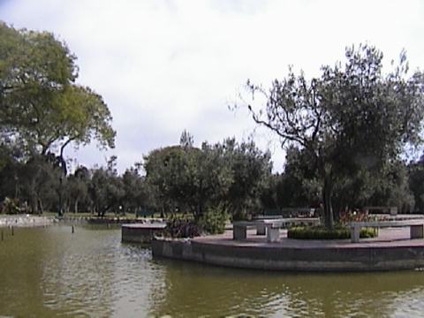DSC00012