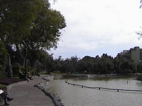 DSC00013