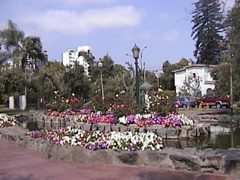 DSC00016