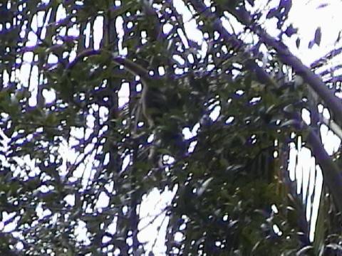 DSC00040