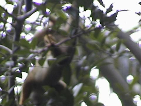 DSC00041