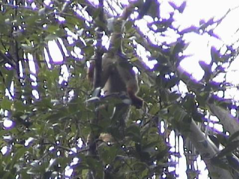 DSC00042
