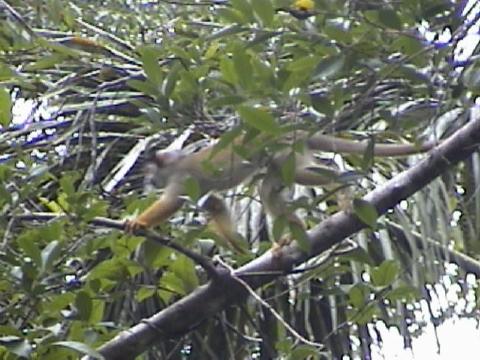 DSC00043