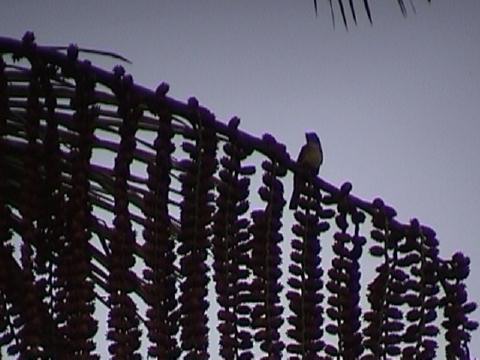 DSC00045