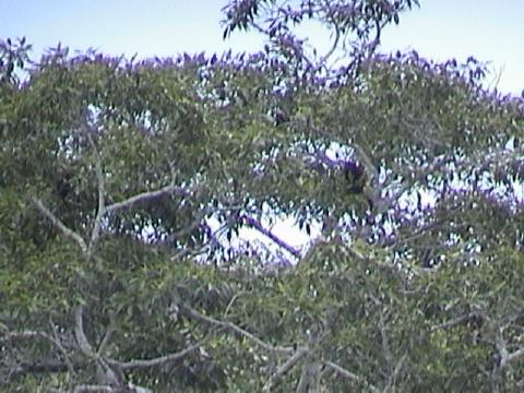 DSC00046