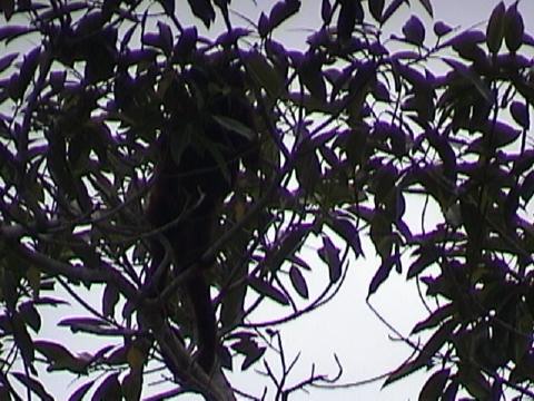 DSC00051