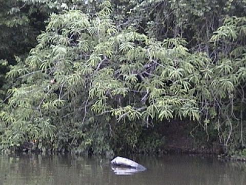 DSC00059