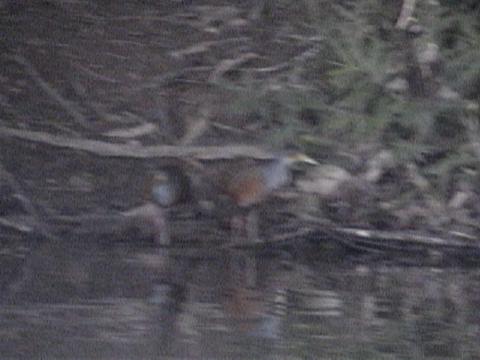 DSC00060