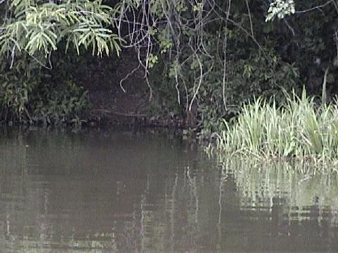 DSC00061