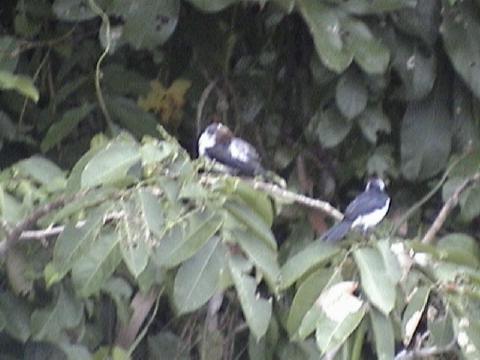 DSC00062