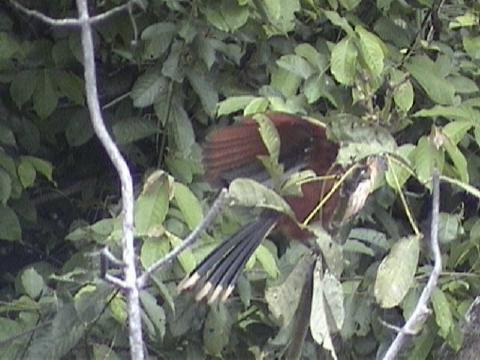 DSC00068