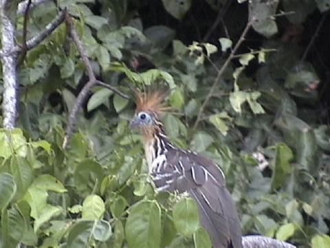 DSC00070