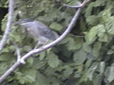 DSC00073