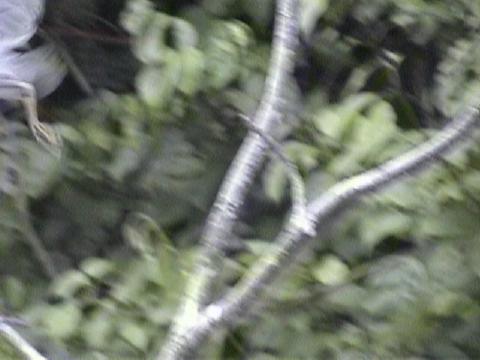 DSC00074