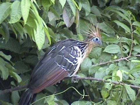 DSC00076