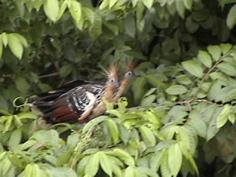 DSC00079
