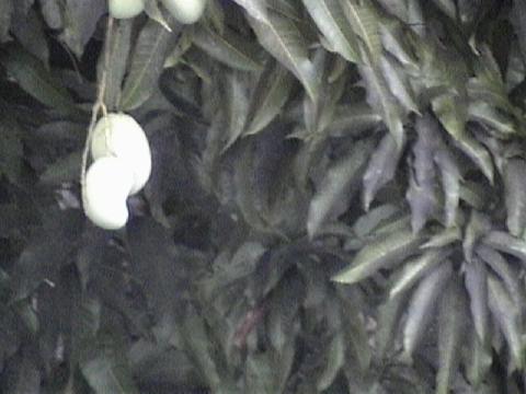 DSC00083