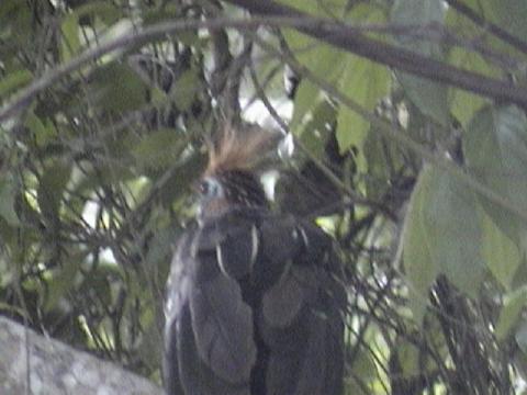 DSC00087
