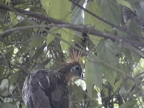 DSC00089