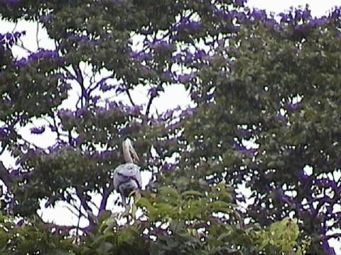 DSC00099