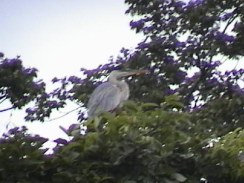 DSC00100