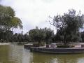 DSC00012